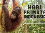 Primata Indonesia Hampir Punah