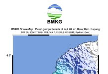 BMKG: Gempa M 4,8 Guncang Kupang NTT, Dangkal dan Tidak Berpotensi Tsunami