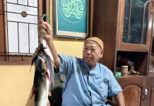 Dari Riak Bengawan Solo ke Meja Makan: Nostalgia Ikan, Titik Kritis Halal, dan Refleksi Dr. Adian Husaini