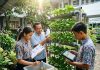 Dari Kebun Sekolah ke Meja Makan: Bagaimana Korea Selatan dan Indonesia Menyemaikan Generasi Cinta Pangan